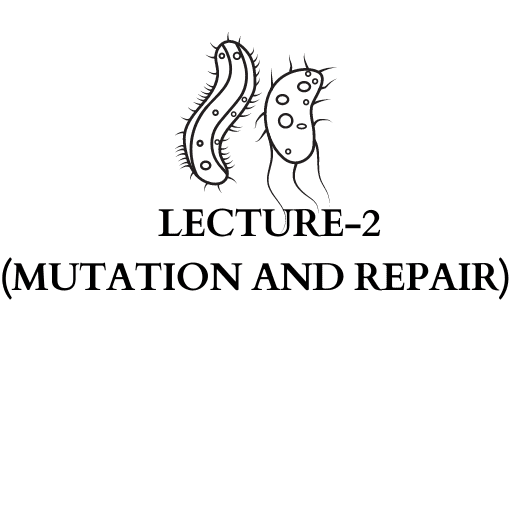 LECTURE-2 (MUTATION AND REPAIR)